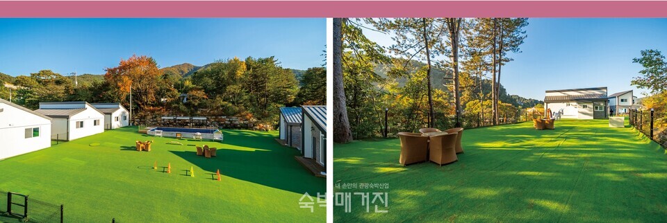 운동장(왼쪽)과 대형견도 무리 없는 넓은 공간.