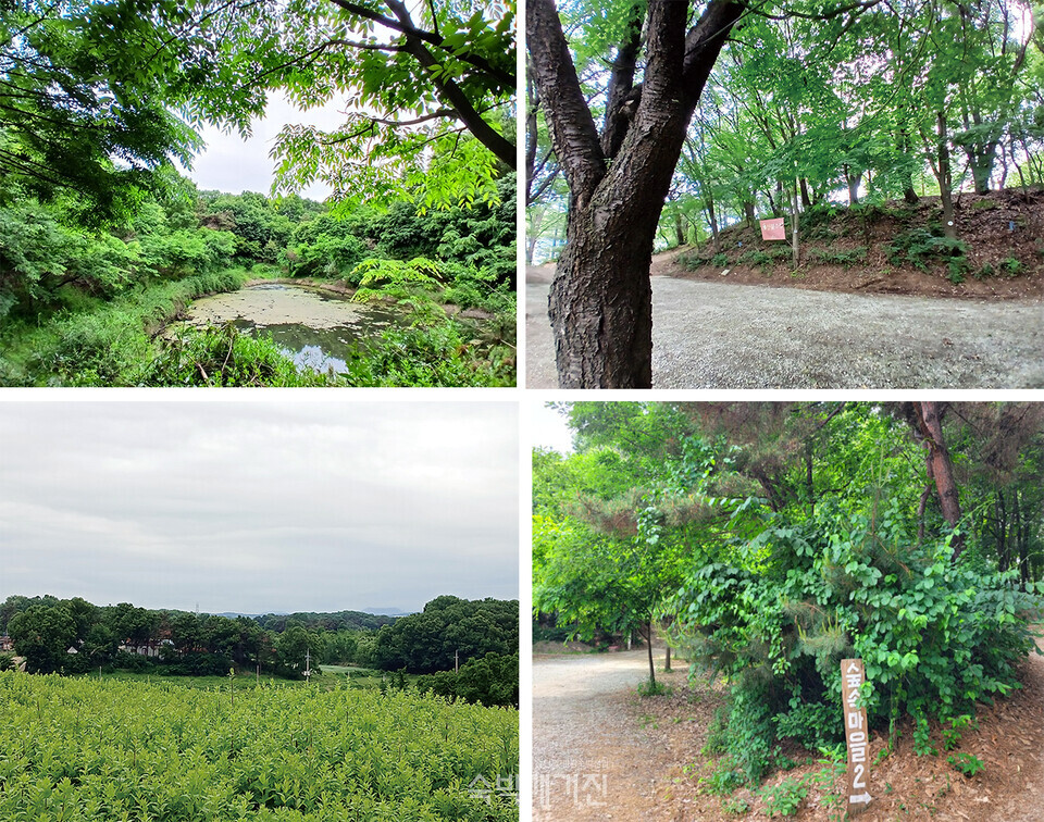 캠핑장의 풍경들