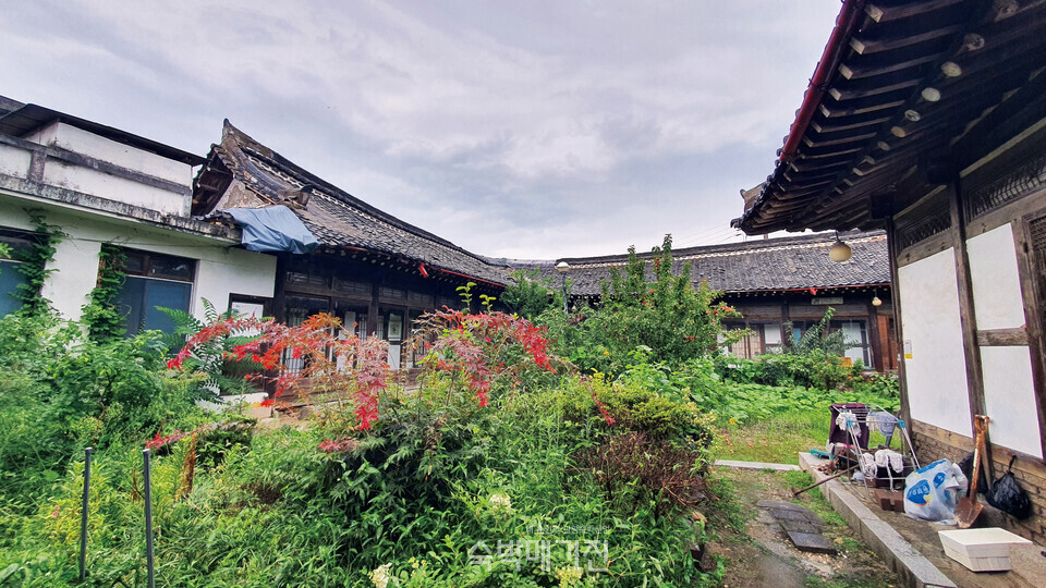 (시공 전) 잡초가 무성한 마당